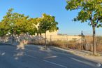 Land for sale at Calle Úbeda, 21, Aranjuez, Madrid, 28300 with plant, sky, road surface, fence, tree, shade, land lot, asphalt, grass and neighbourhood around