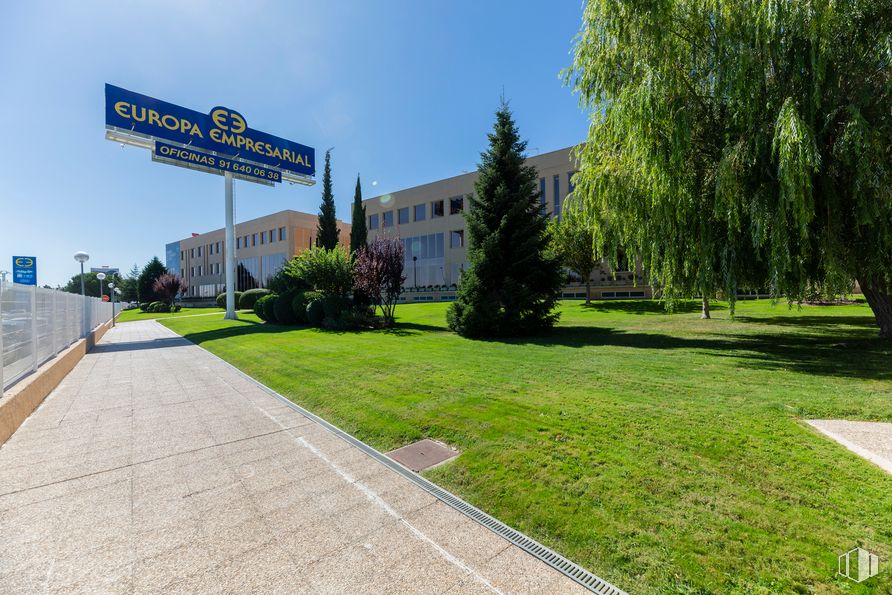 Oficina en alquiler en Edificio Londres, Playa de Liencres, 2, Las Rozas de Madrid, Madrid, 28230 con edificio, planta, cielo, propiedad, lote de tierra, árbol, diseño urbano, barrio residencial, asfalto y superficie de la carretera alrededor