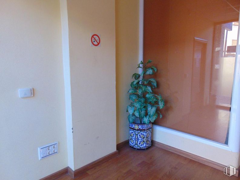 Retail for sale & for rent at Avenida Pablo Garnica, 39, Alcaudete de la Jara, Toledo, 45662 with houseplant, flowerpot, plant, building, wood, paint, floor, flooring, house and art around