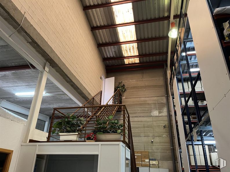 Industrial for sale at Camino Carrera, Fuente el Saz de Jarama, Madrid, 28140 with houseplant, interior design, wood, plant, building, material property, fixture, beam, urban design and facade around