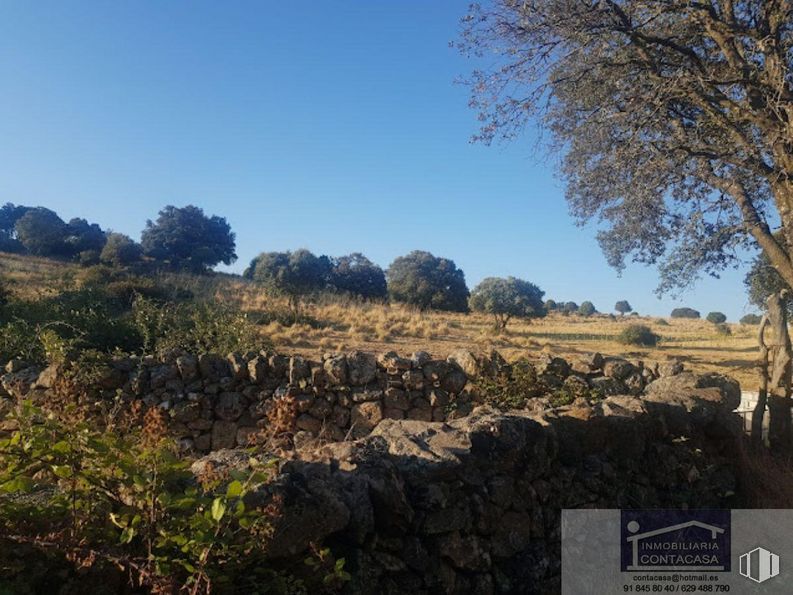 Land for sale at Zona Recuenco, Colmenar Viejo, Madrid, 28770 with sky, plant, plant community, ecoregion, natural landscape, tree, land lot, grass, landscape and rural area around