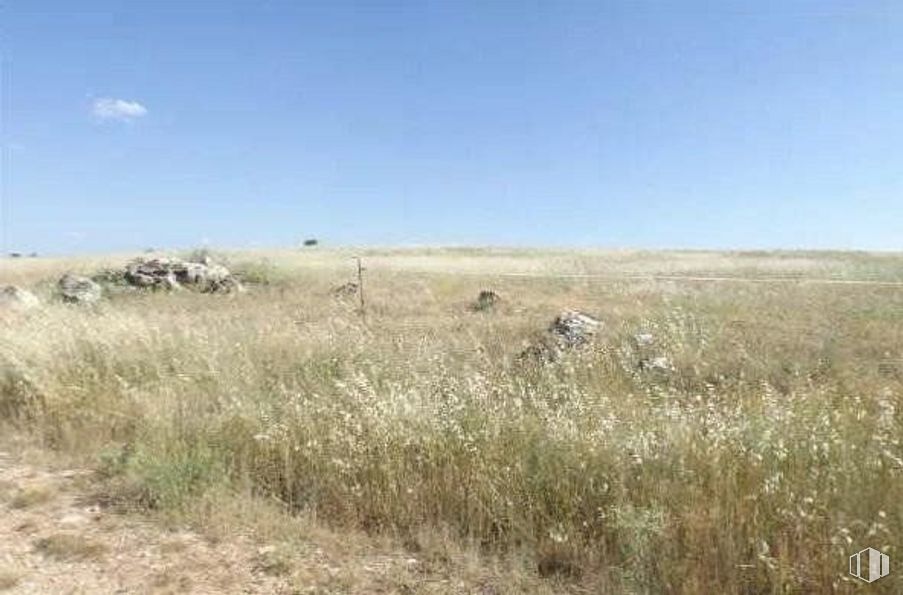 Land for sale at Camino Lupiana, Horche, Guadalajara, 19140 with animal, sky, plant, natural landscape, grassland, grass, landscape, cloud, terrestrial animal and prairie around