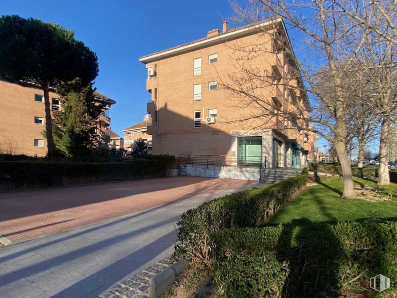 Local en alquiler en Zona Centro, Boadilla del Monte, Madrid, 28660 con casa, planta, cielo, edificio, propiedad, ventana, superficie de la carretera, árbol, asfalto y zona residencial alrededor