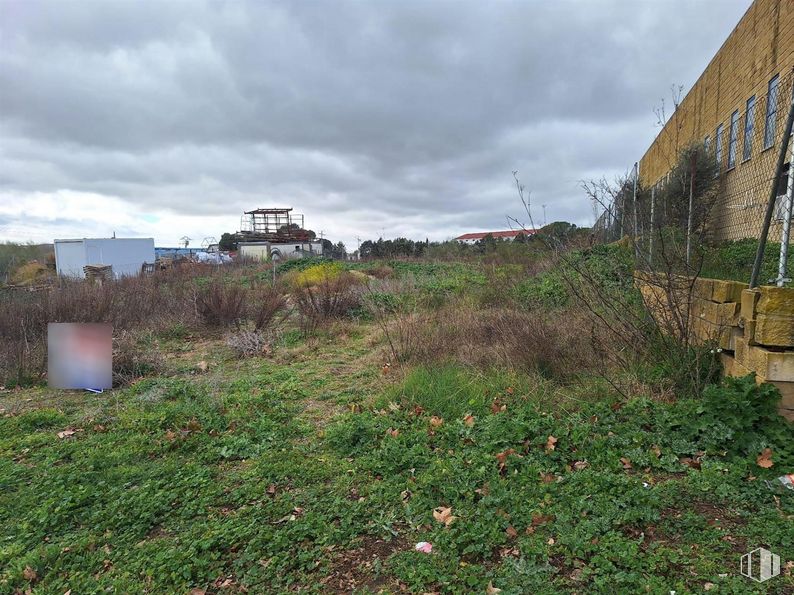 Suelo en venta en Zona industrial, Valdeolmos-Alalpardo, Madrid, 28130 con nube, cielo, planta, flor, lote de terreno, vegetación, edificio, paisaje natural, hierba y paisaje alrededor