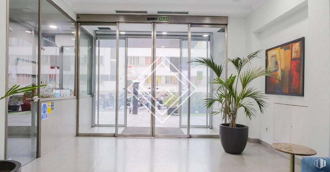 Office for rent at Calle Orense, Tetuán, Madrid, 28020 with houseplant, door, picture frame, table, flooring, interior design, floor, ceiling, lighting and glass around