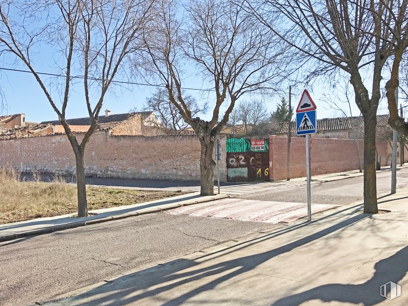 Land for sale & for rent at Calle Miguel Hernández, 1, Noblejas, Toledo, 45350 with sky, road surface, tree, plant, branch, asphalt, sidewalk, tints and shades, road and shade around