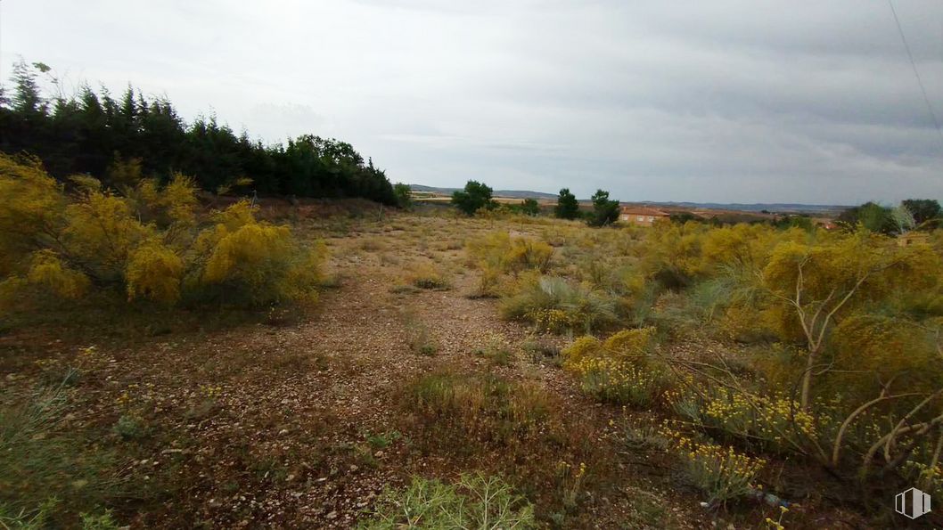 Land for sale at Urbanización El Soto, Estremera, Madrid, 28595 with sky, cloud, plant, natural landscape, tree, grassland, grass, shrub, plain and road around