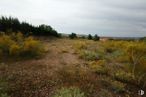 Land for sale at Urbanización El Soto, Estremera, Madrid, 28595 with sky, cloud, plant, natural landscape, tree, grassland, grass, shrub, plain and road around