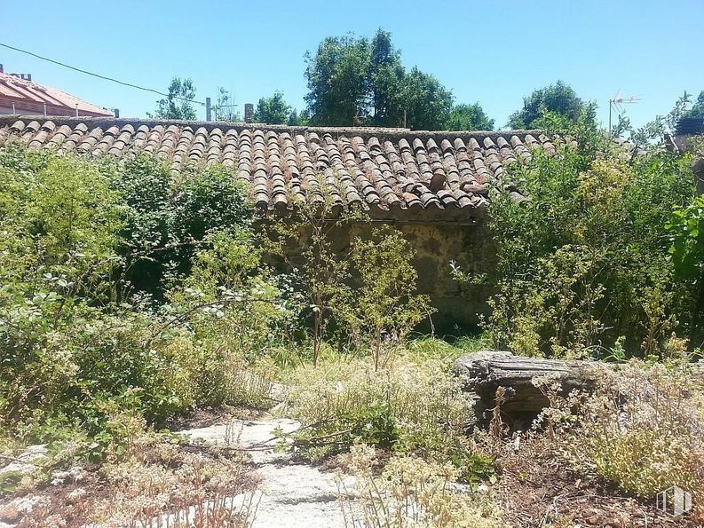 Suelo en venta en Casco antiguo, Ávila, 05194 con edificio, planta, cielo, propiedad, comunidad de plantas, paisaje natural, lote de tierra, vegetación, árbol y pared alrededor