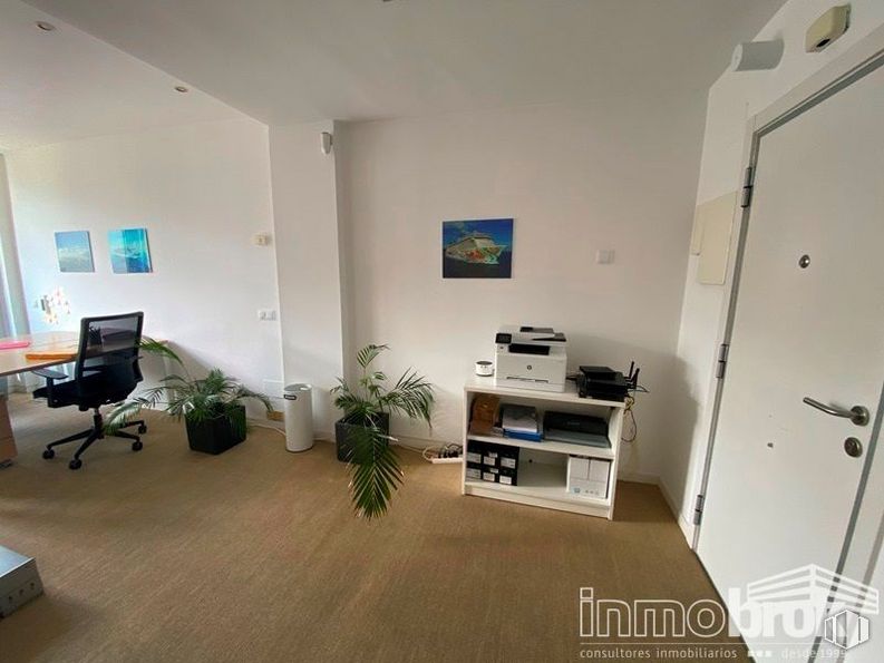 Oficina en venta en Zona Sanchinarro, Hortaleza, Madrid, 28050 con planta de interior, silla, mueble, edificio, madera, planta, sala de estar, suelo, ebanistería y maceta alrededor