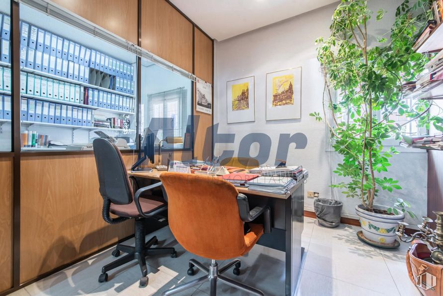 Local en venta en Calle Centenera, Ciudad Lineal, Madrid, 28017 con silla, planta de interior, maceta, mesa, propiedad, mueble, edificio, planta, silla de oficina y escritorio alrededor