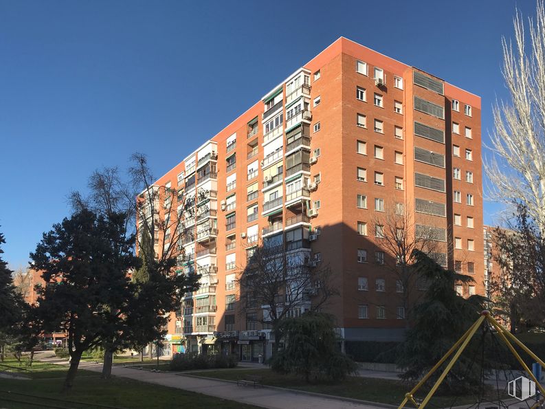 Local en alquiler en Calle Castrillo de Aza, 15, Villa de Vallecas, Madrid, 28031 con edificio, cielo, durante el día, propiedad, planta, árbol, bloque de pisos, ventana, diseño urbano y condominio alrededor