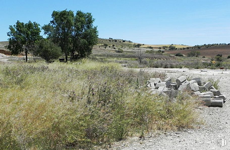 Suelo en venta en Parcela Centro El Salobrillo, 13 263, Ribatejada, Madrid, 28815 con planta, cielo, comunidad de plantas, paisaje natural, árbol, hierba, lecho de roca, arbusto, paisaje y pastizal alrededor