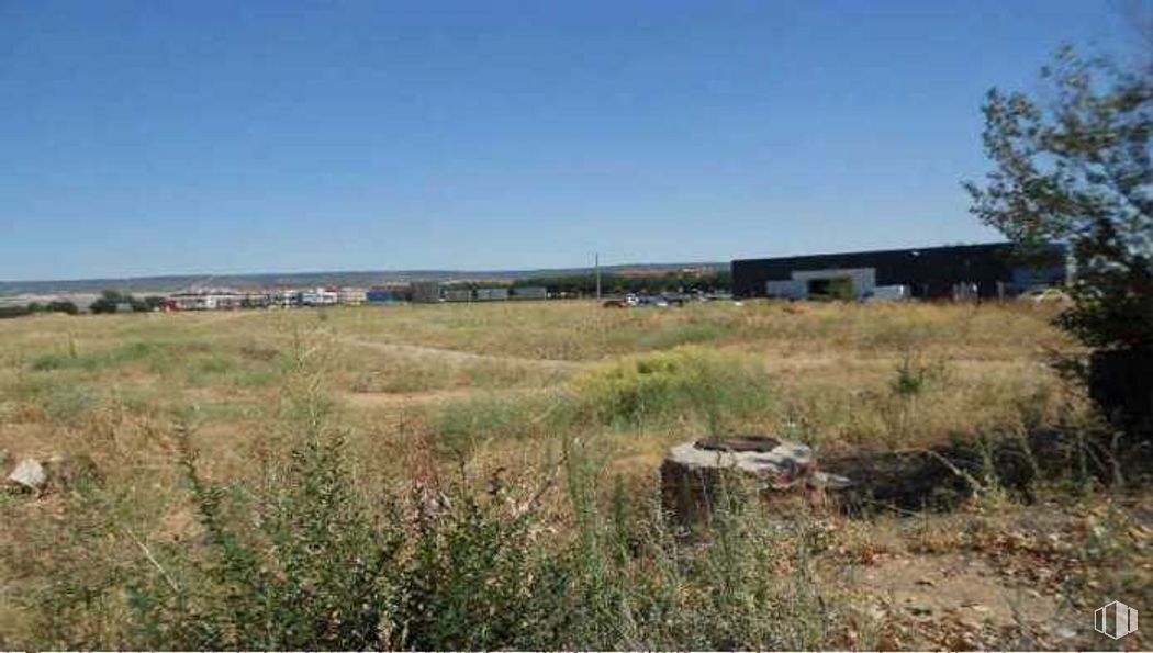 Suelo en venta en Carretera Alovera, Azuqueca de Henares, Guadalajara, 19200 con casa, cielo, planta, comunidad de plantas, paisaje natural, árbol, lote de tierra, hierba, pastizal y llanura alrededor