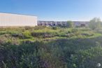 Land for sale at Avenida Córdoba, 5, Valdemoro, Madrid, 28341 with plant, sky, flower, building, land lot, natural landscape, tree, landscape, groundcover and grassland around