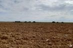 Land for sale at Urbanización Polígono 6, Fuentelahiguera de Albatages, Guadalajara, 19182 with cloud, sky, natural landscape, agriculture, horizon, grassland, landscape, plant, event and grass around