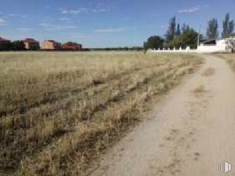 Land for sale at Calle 1 , Ugena, Toledo, 45217 with sky, cloud, ecoregion, plant, tree, natural landscape, land lot, agriculture, grass and plain around