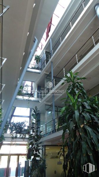 Office for rent at Zona Centro, La Latina, Madrid, 28011 with houseplant, building, plant, fixture, urban design, glass, condominium, facade, city and terrestrial plant around