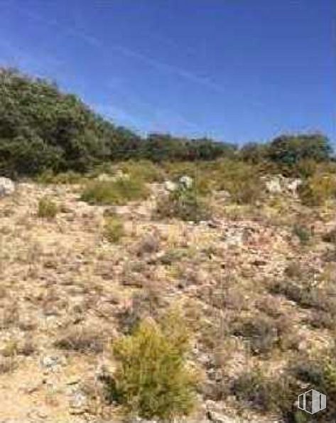 Land for sale at Polígono 2 Parcela 66, Escariche, Guadalajara, 19119 with plant, sky, natural landscape, tree, terrestrial plant, bedrock, groundcover, mountainous landforms, landscape and grass around