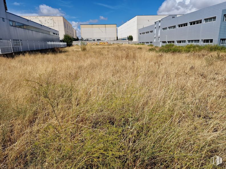 Land for sale at Polígono Industrial La Carpetania, Getafe, Madrid, 28906 with building, cloud, plant, sky, plant community, vegetation, land lot, grass, grassland and grass family around