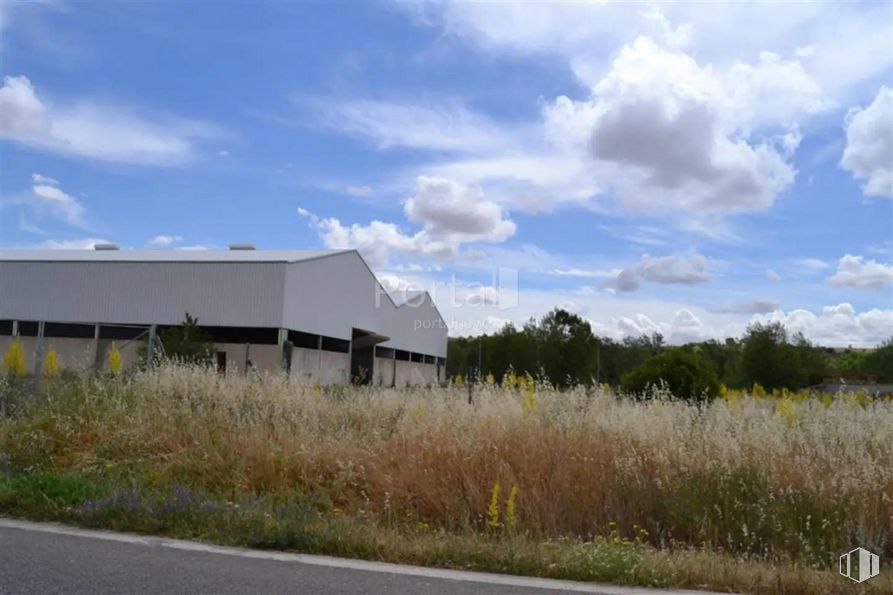 Industrial for sale at Zona Industrial, Torrejón del Rey, Guadalajara, 19174 with house, cloud, sky, plant, building, land lot, tree, asphalt, grass and natural landscape around