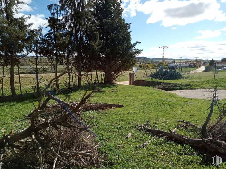 Land for sale at Calle Valdenuño, Galápagos, Guadalajara, 19174 with cloud, sky, plant, natural landscape, wood, land lot, tree, trunk, woody plant and grassland around