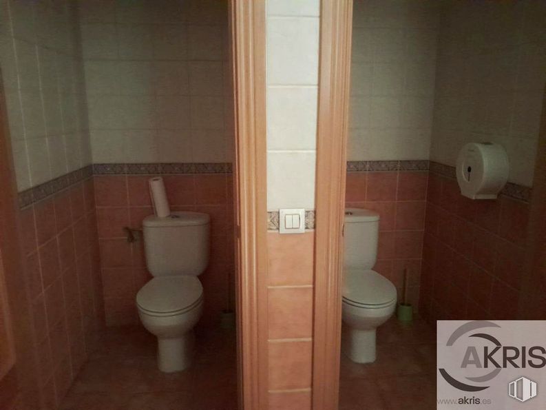 Industrial for rent at Calle Roble, Borox, Toledo, 45222 with toilet, toilet paper, paper towel, brown, toilet seat, property, bathroom, purple, building and fixture around