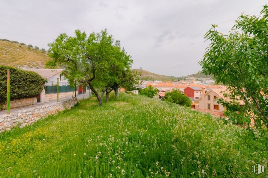 Land for sale at Calle San Roque, Valverde de Alcalá, Madrid, 28812 with plant, sky, plant community, cloud, natural landscape, building, window, house, tree and flower around