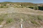 Land for sale at Redueña, Redueña, Madrid, 28721 with plant, sky, natural landscape, tree, land lot, grass, shrub, landscape, grassland and plain around