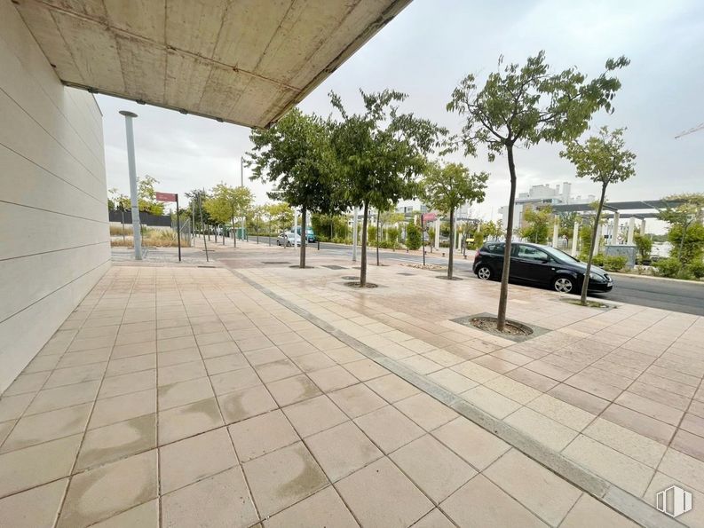 Local en alquiler y venta en Zona Tempranales, San Sebastián de los Reyes, Madrid, 28700 con coche, cielo, planta, superficie de la carretera, vehículo, rueda, árbol, sombra, diseño urbano y asfalto alrededor