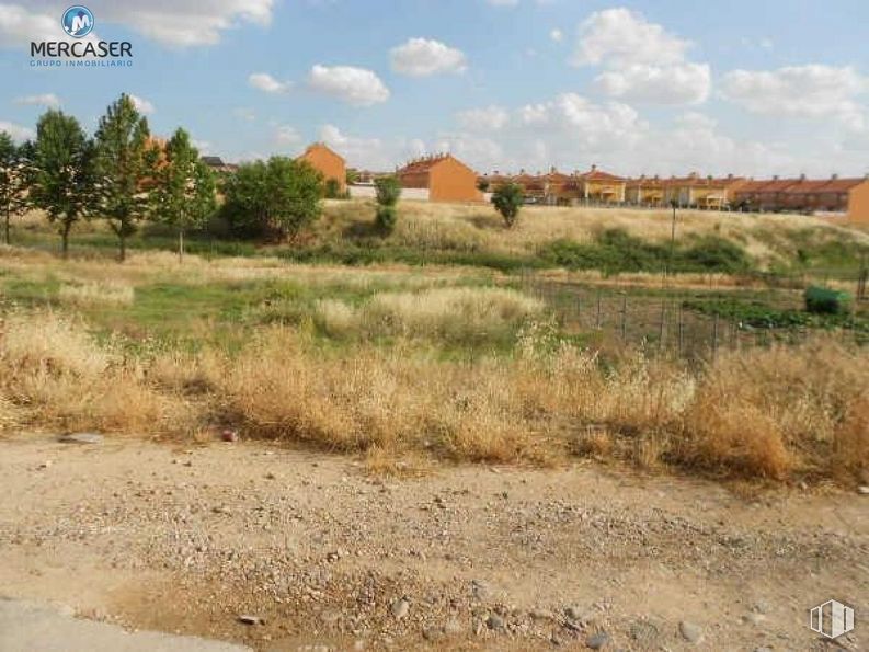 Land for sale at Calle Fuente, Torrejón del Rey, Guadalajara, 19174 with house, cloud, sky, plant, plant community, natural landscape, tree, land lot, biome and grassland around