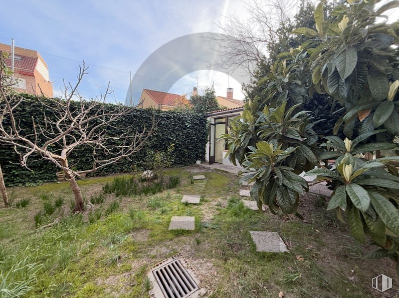 Retail for rent at Calle Benerisa, 17, Moncloa - Aravaca, Madrid, 28023 with shrub, garden, groundcover, landscaping, walkway, backyard, yard, driveway, hedge and path around