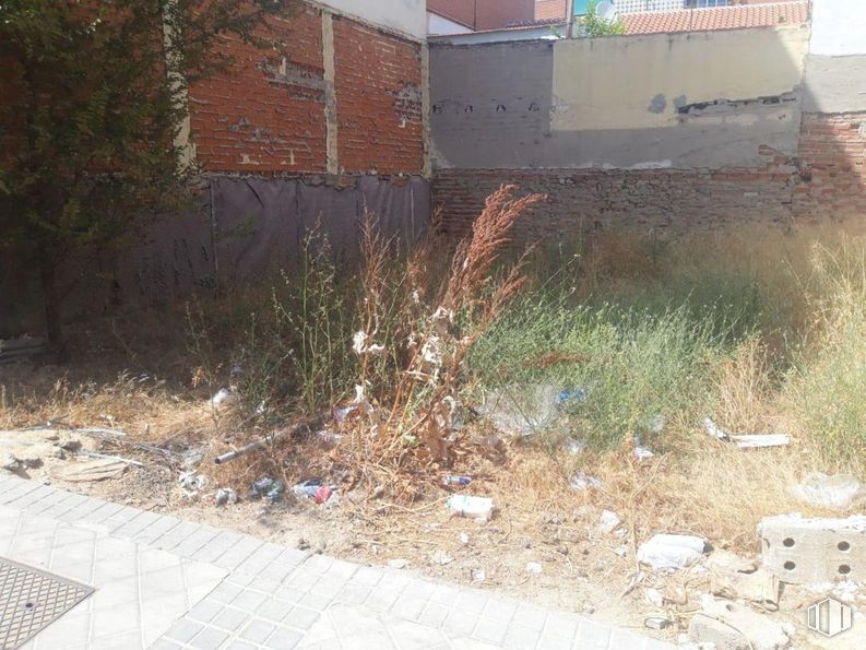 Suelo en venta en Calle Águila, Leganés, Madrid, 28911 con planta, lote de terreno, asfalto, hierba, superficie de la carretera, cubierta vegetal, arbusto, material compuesto, ladrillo y carretera alrededor