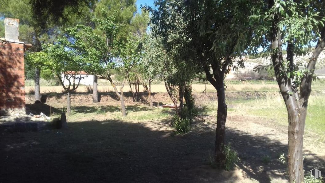 Land for sale at Zona Zarza de Tajo, Zarza de Tajo, Cuenca, 16470 with animal, plant, tree, shade, grass, landscape, natural landscape, soil, woodland and event around