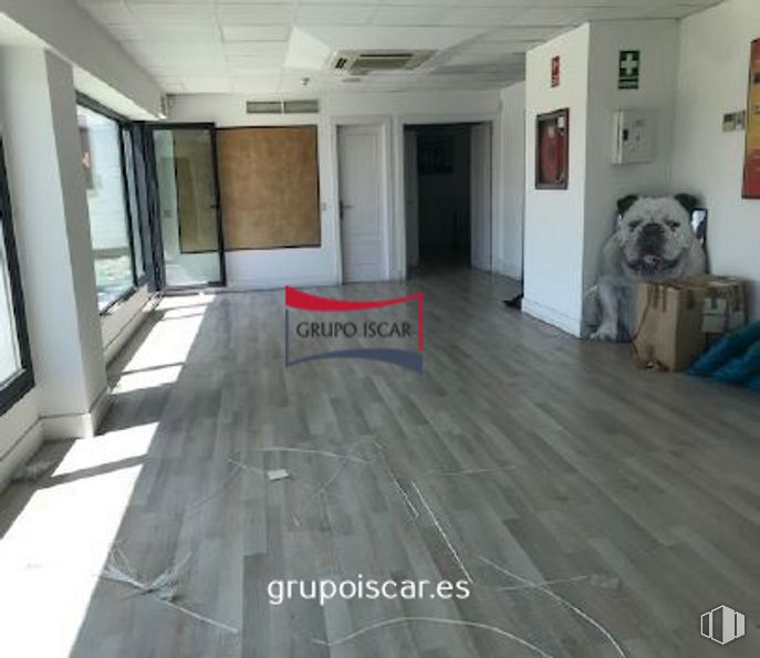 Oficina en venta en Calle Miguel Fleta, 8, San Blas - Canillejas, Madrid, 28037 con animal, accesorio, madera, pasillo, suelo, piso, marco, sofá, madera y bienes raíces alrededor