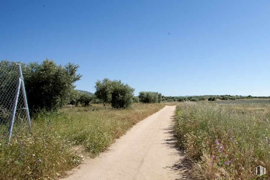 Suelo en venta en Camino Fuente Cordel, Argés, Toledo, 45122 con cielo, planta, comunidad de plantas, árbol, paisaje natural, hierba, vía pública, planta leñosa, llanura y pastizal alrededor