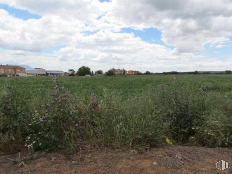 Land for sale at Conjunto Caminos, 5225 Sector Uno, Yunquera de Henares, Guadalajara, 19210 with cloud, plant, sky, natural landscape, agriculture, tree, grass, landscape, plain and grassland around