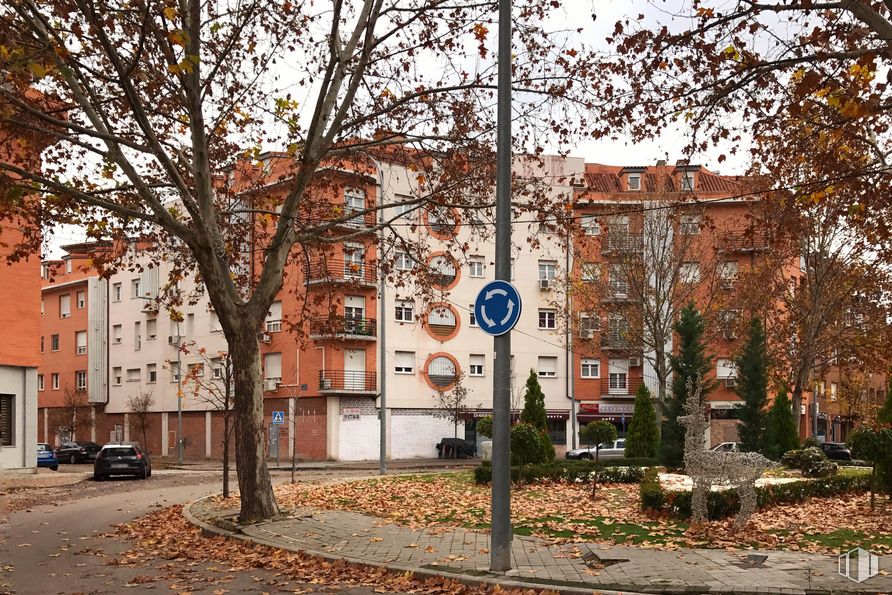 Local en alquiler y venta en Avenida Fresnos, 25 , Torrejón de Ardoz, Madrid, 28850 con edificio, planta, ventana, propiedad, rama, árbol, superficie de la carretera, alumbrado, luz del sol y ramita alrededor