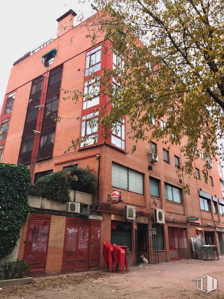 Local en venta en Calle Mayor, 38, Algete, Madrid, 28110 con edificio, ventana, propiedad, planta, accesorio, arquitectura, albañilería, ladrillo, puerta y diseño urbano alrededor