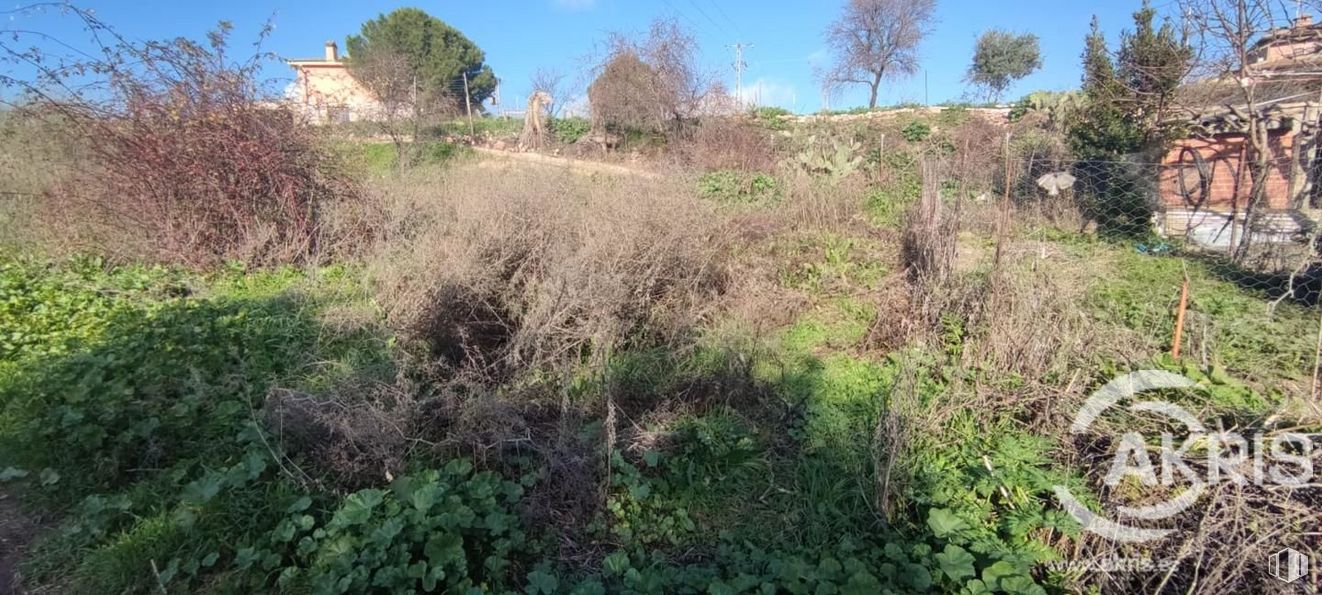 Land for sale at Casco urbano, Méntrida, Toledo, 45930 with animal, plant, sky, property, natural environment, tree, natural landscape, branch, land lot and grass around