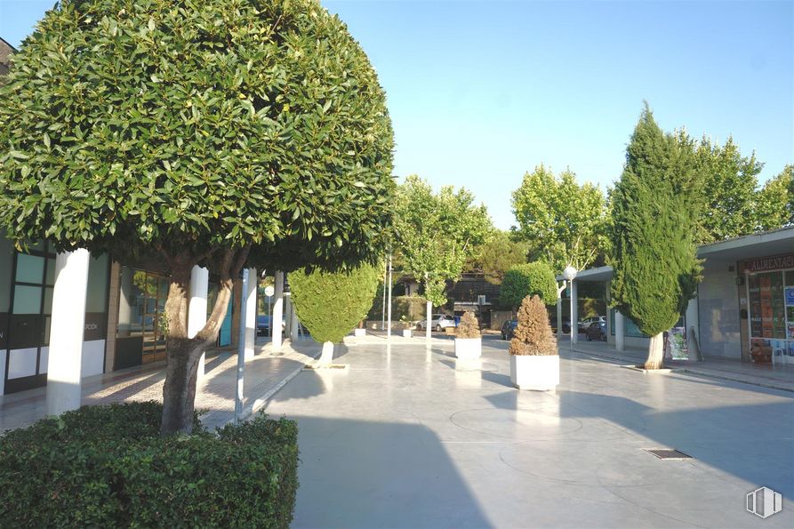 Local en venta en Calle Duero, Villaviciosa de Odón, Madrid, 28670 con planta, cielo, superficie de la carretera, árbol, planta leñosa, carretera, paisaje, hierba, arbusto y ocio alrededor