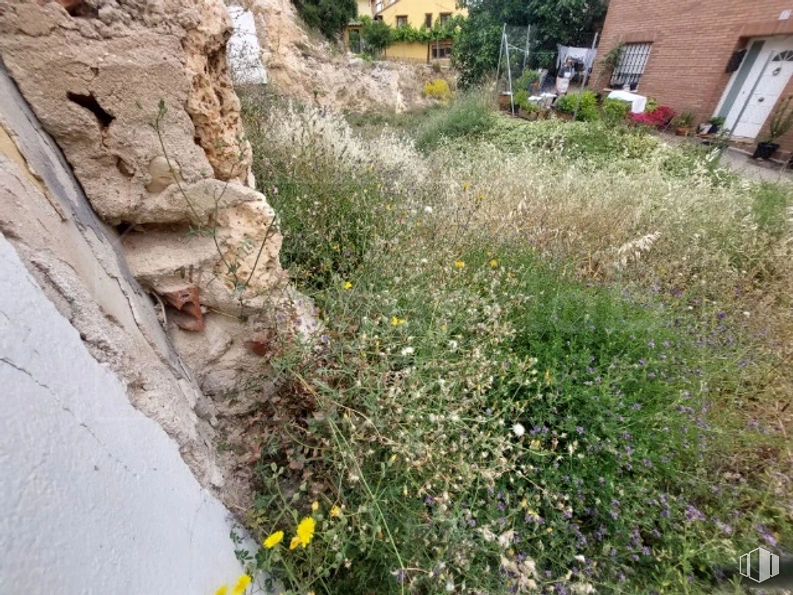 Land for sale at Travesía Castillejo, 15, Los Santos de la Humosa, Madrid, 28817 with house, plant, flower, plant community, vegetation, bedrock, grass, road surface, shrub and groundcover around