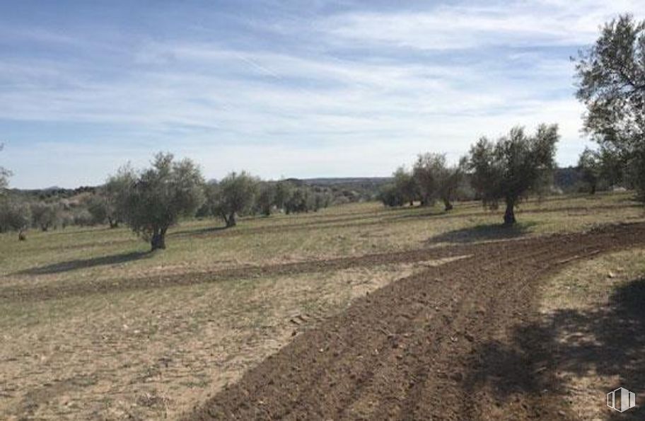 Land for sale at Polígono 28 Parcela 33, Villamuelas, Toledo, 45749 with cloud, sky, plant, tree, natural landscape, land lot, grass, plain, grassland and wood around