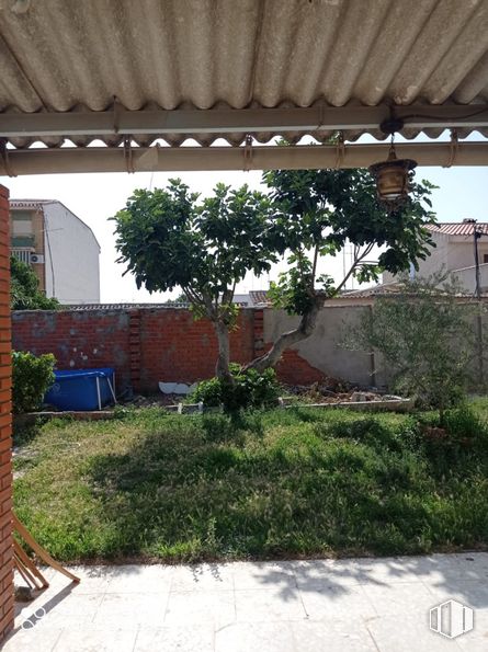 Land for sale at Calle Yelmo, Villacañas, Toledo, 45860 with garden, woody plant, shade, yard, landscaping, backyard, pergola, courtyard, outdoor structure and evergreen around