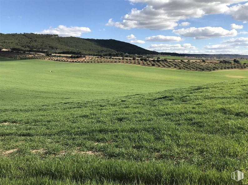 Land for sale at Finca Valdeapa, Chiloeches, Guadalajara, 19160 with cloud, sky, plant, natural landscape, land lot, tree, mountain, agriculture, cumulus and grassland around