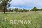 Land for sale at Camino Matadero, Cifuentes, Guadalajara, 19420 with plant, sky, cloud, tree, flower, natural landscape, shrub, groundcover, terrestrial plant and landscape around