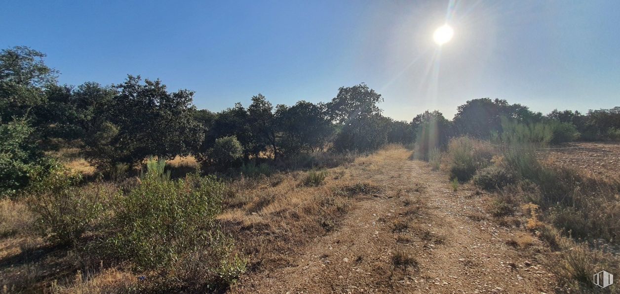 Land for sale at Urbanización Sector 1, Hormigos, Toledo, 45919 with lighting, plant, sky, natural landscape, tree, grass, landscape, grassland, shrub and horizon around