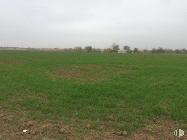 Suelo en venta en Calle Sierra de San Vicente, Illescas, Toledo, 45200 con cielo, ecorregión, nube, planta, entorno natural, paisaje natural, árbol, agricultura, pastizal y cobertura del suelo alrededor