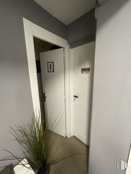 Retail for rent at Zona Tetuán, Tetuán, Madrid, 28020 with houseplant, plant, building, door, fixture, wood, dead bolt, floor, home door and flooring around