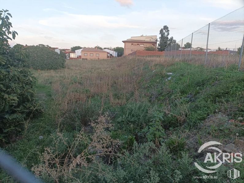 Land for sale at Travesía Doctor Cabañas, Recas, Toledo, 45211 with sky, plant, cloud, plant community, ecoregion, land lot, natural landscape, grass, biome and tree around